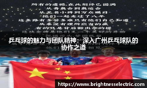 乒乓球的魅力与团队精神：深入广州乒乓球队的协作之道